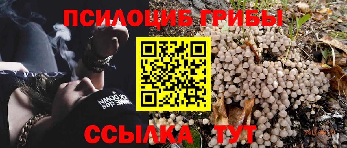 Галлюциногенные грибы Psilocybe  Вход с VPN  где можно купить наркотик  Псилоцибиновые грибы MAGIC MUSHROOMS  Губкин 
