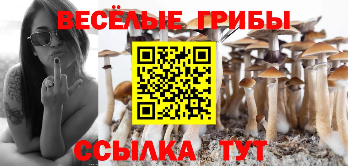 Галлюциногенные грибы Psilocybine cubensis Губкин